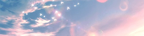 Discord server °•Velvet 🩷 Stall ♡ banner image