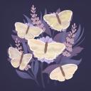 Identification icon
