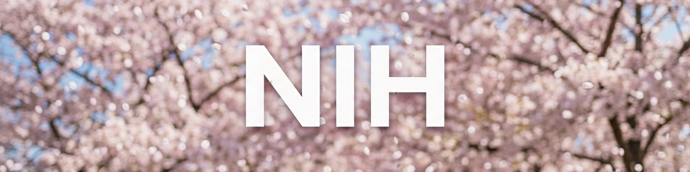 Discord server nih0304's server banner image