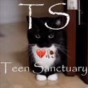 Discord server Teenage Sanctuary icon image