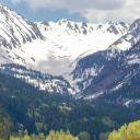 Discord server Warriors - The Splintered Night icon image