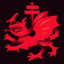 DRAGON SOCIETY icon